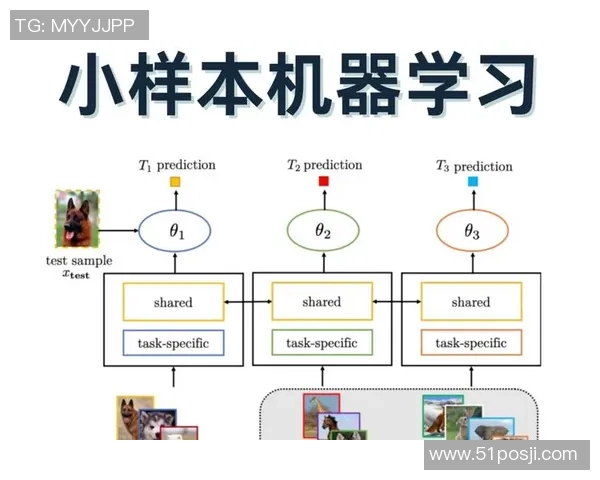 耀世娱乐小样本学习框架的创新应用与未来发展探讨